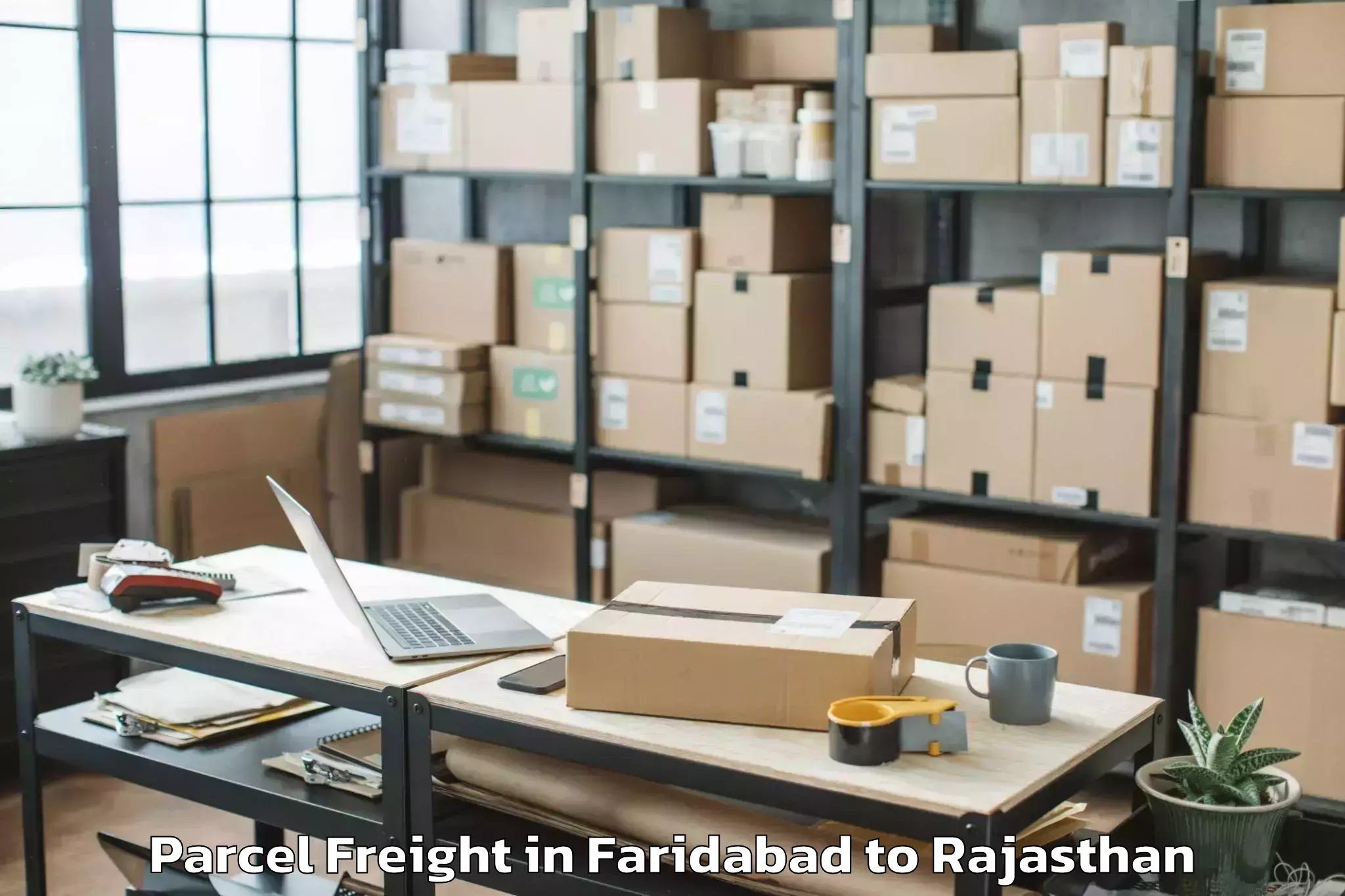 Trusted Faridabad to Rajsamand Parcel Freight